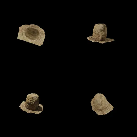 45f55a314976