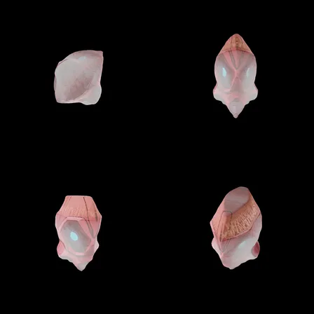 7fccb1c2e822