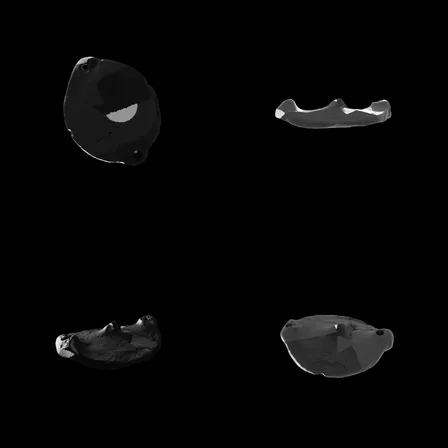 b66f13695676