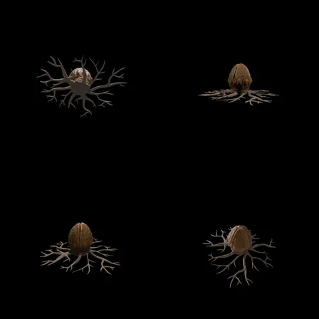 be13c5a8e092