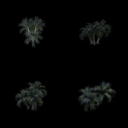 ca02cf224e20