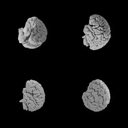 d14dd2043d69