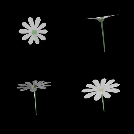 e70855f92a43